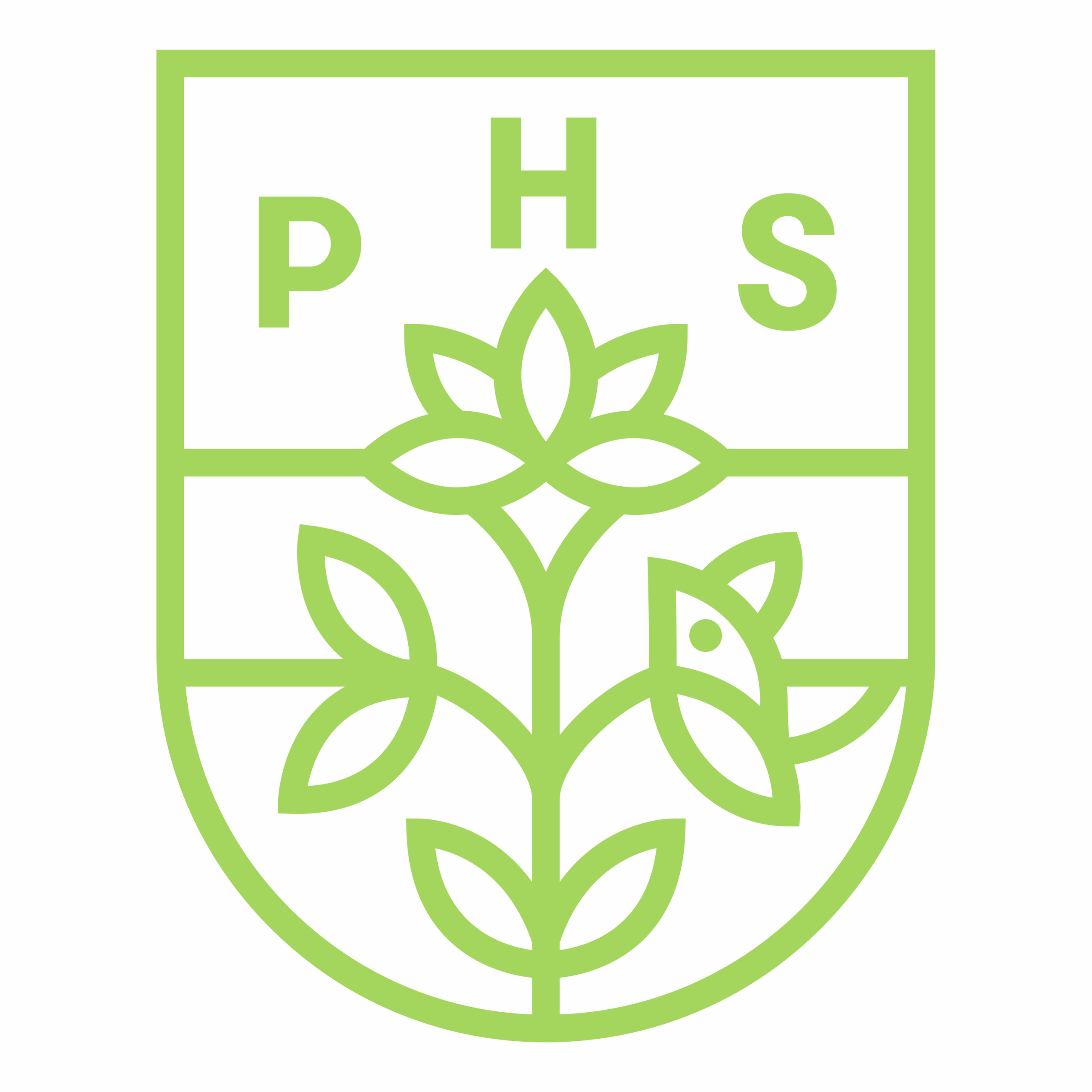 phs square scaled